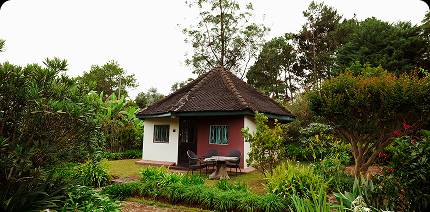 Intérieur Bungalows familiaux